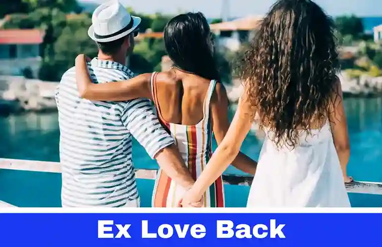 ex love back