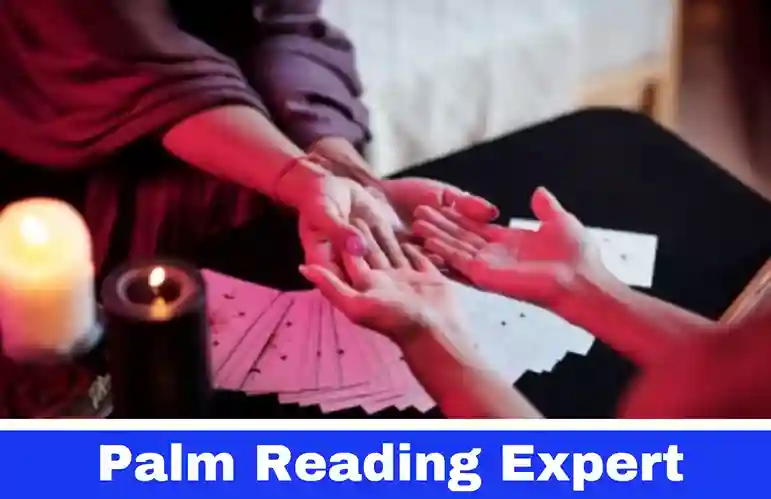 palm reading expert