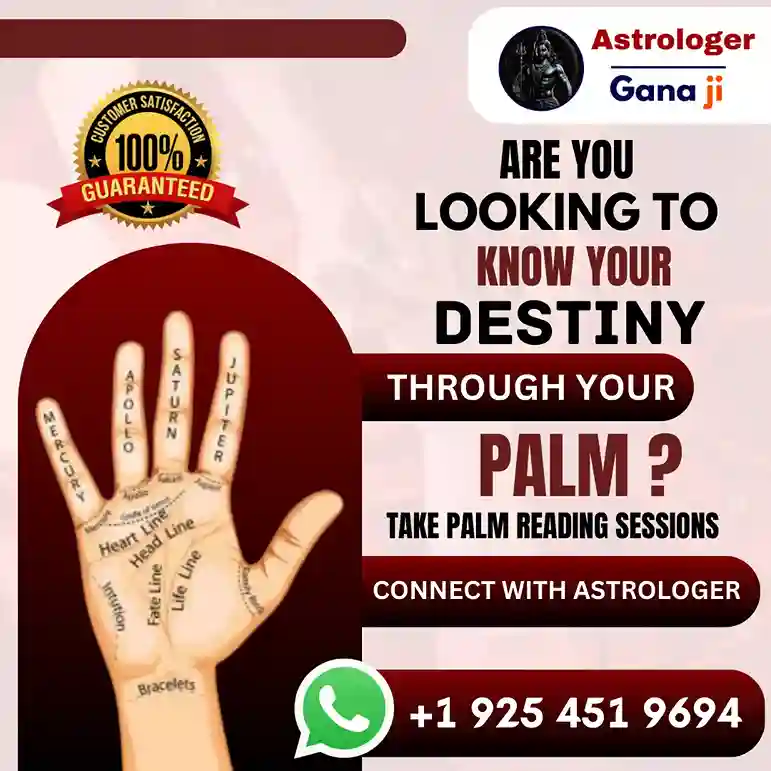 Astrologer in USA - palm reading astrologer